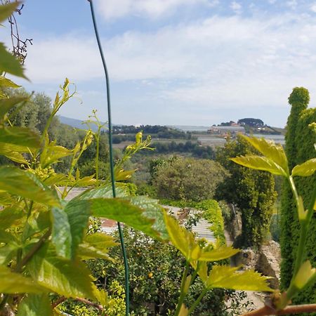Villa Casa Di Ingrida Bussana Vecchia Sanremo Exterior foto