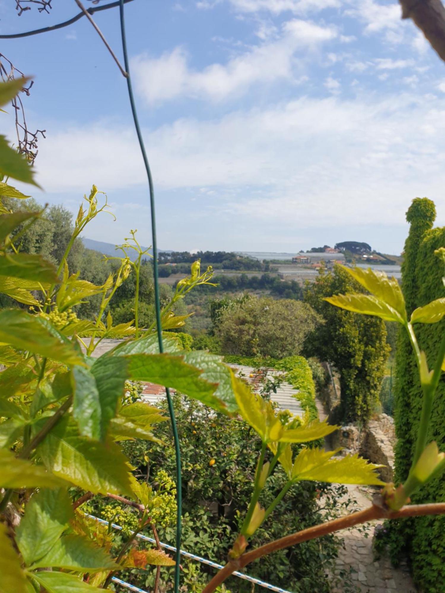 Villa Casa Di Ingrida Bussana Vecchia Sanremo Exterior foto